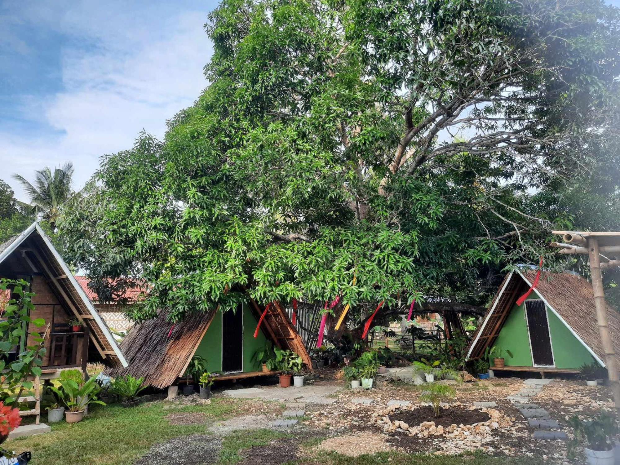 Lagkaw Uno In Lagkaw Homestay Panglao Εξωτερικό φωτογραφία