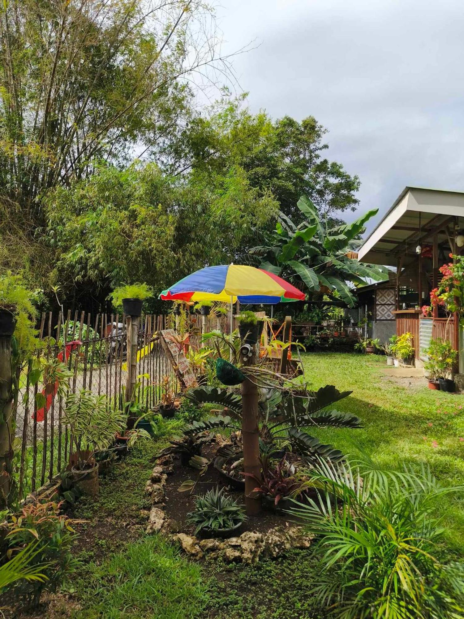 Lagkaw Uno In Lagkaw Homestay Panglao Εξωτερικό φωτογραφία