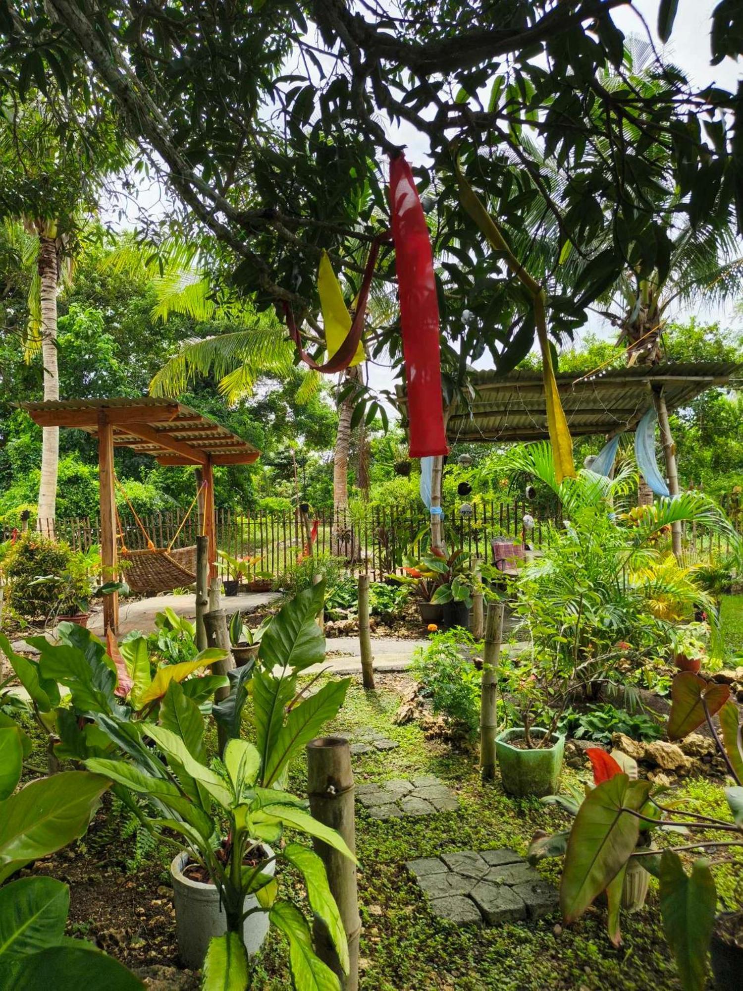 Lagkaw Uno In Lagkaw Homestay Panglao Εξωτερικό φωτογραφία