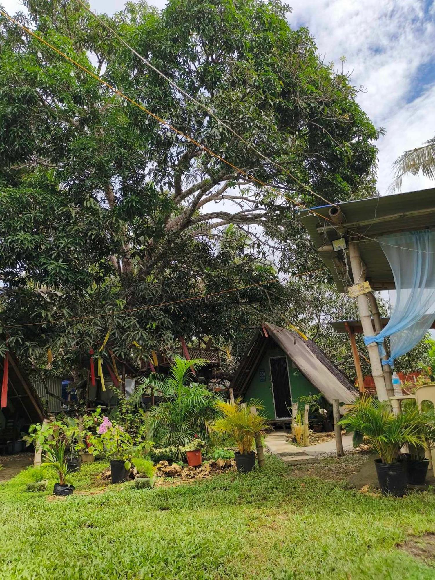 Lagkaw Uno In Lagkaw Homestay Panglao Εξωτερικό φωτογραφία